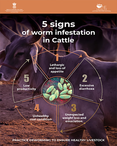5 Signs of Worm Infestation in Cattle