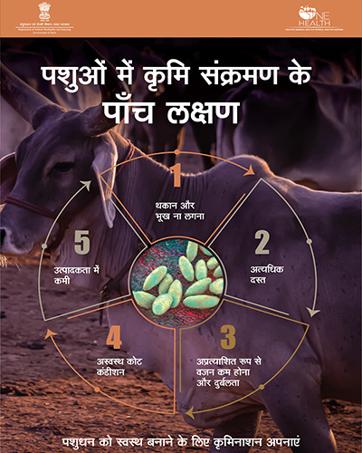 5signs of worm infestation in cattle hn