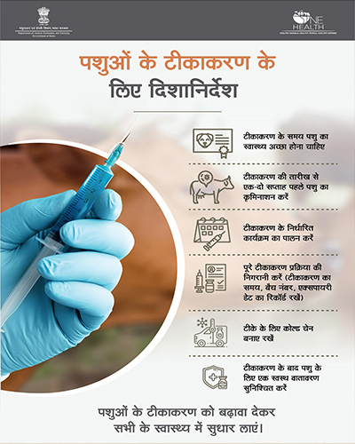 guidelines of animals vaccination