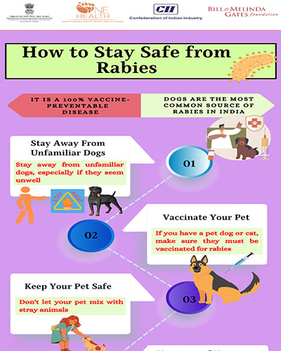 How to Stay Safe From Rabies