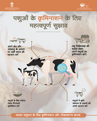 improving animal health by promoting vaccination of animals