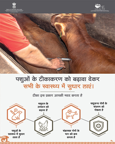 improving animal health by promoting vaccination of animals