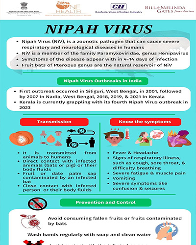 Nipah Virus