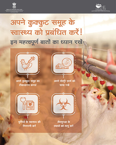 protect the health of your poultry flock