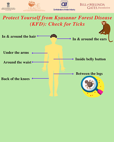 protect yourself from kyasanur forest disease