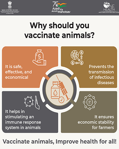 Why Should you Vaccinate Animals